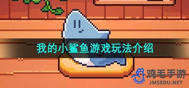 《我的小鲨鱼》游戏玩法介绍