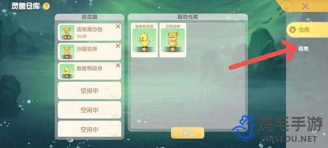 《摩尔庄园》灵兽喂养方法