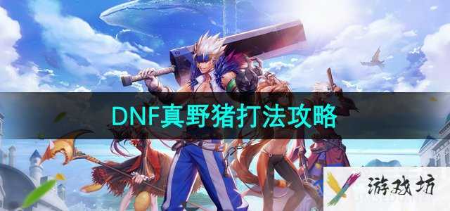 《DNF》真野猪打法攻略