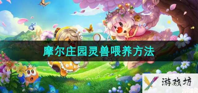 《摩尔庄园》灵兽喂养方法