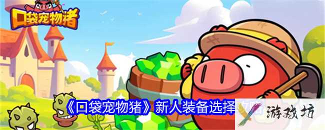 《口袋宠物猪》新人装备选择攻略