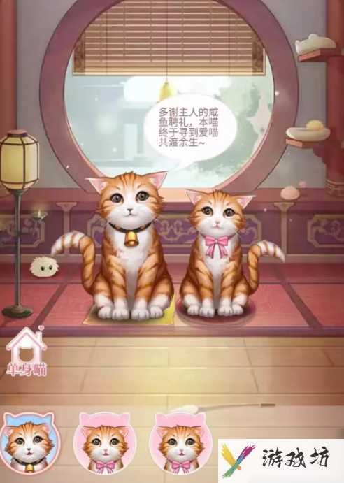 后宫秘史怎么喂出大猫 爱江山更爱美人（后宫秘史）如何养宠物
