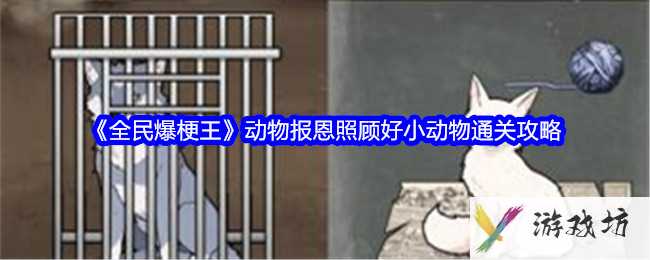 《全民爆梗王》动物报恩照顾好小动物通关攻略