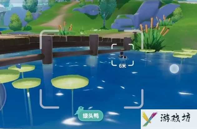 《心动小镇》观鸟爱好解锁方法