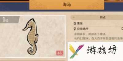 潜水员戴夫海马在哪
