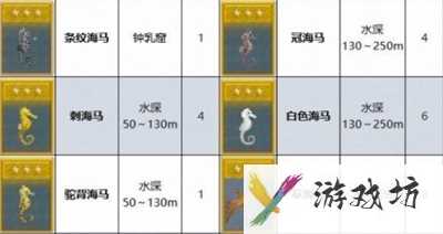 潜水员戴夫海马在哪