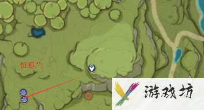 原神树王圣体菇在哪里收集