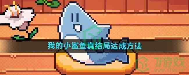《我的小鲨鱼》真结局达成方法