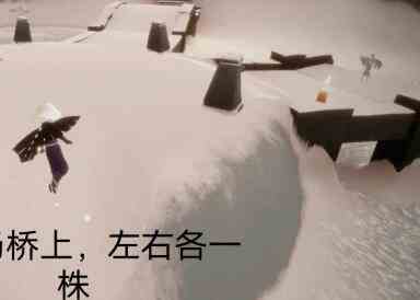 《光遇》11月1日季节蜡烛位置分布分享