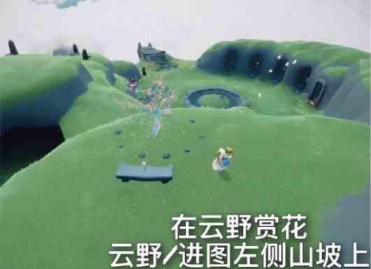 《光遇》5月11日常任务完成攻略分享