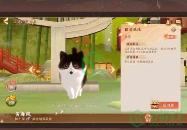 《忘川风华录》猫获得方法介绍