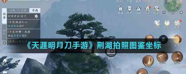 《天涯明月刀手游》荆湖拍照图鉴坐标