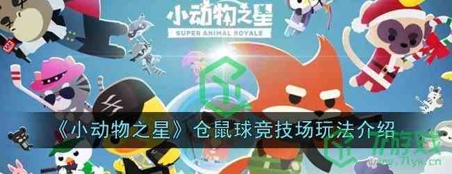 《小动物之星》仓鼠球竞技场玩法介绍