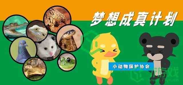 《小动物之星》手游和steam互通问题介绍