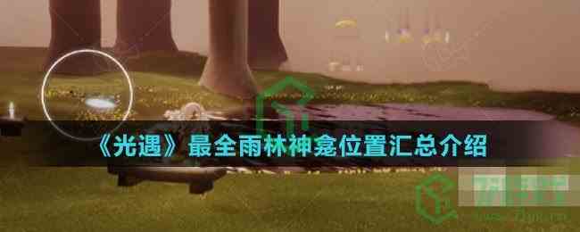 《光遇》最全雨林神龛位置汇总介绍