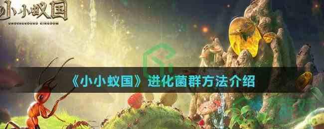 《小小蚁国》进化菌群方法介绍