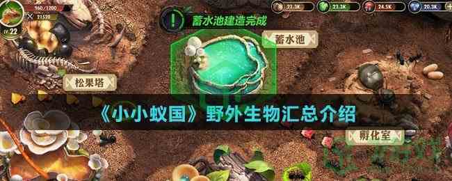 《小小蚁国》各类资源获得方法介绍