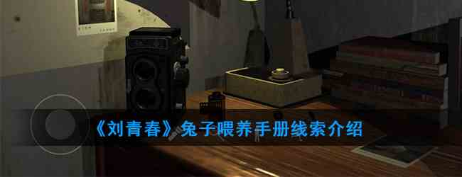 《刘青春》兔子喂养手册线索介绍