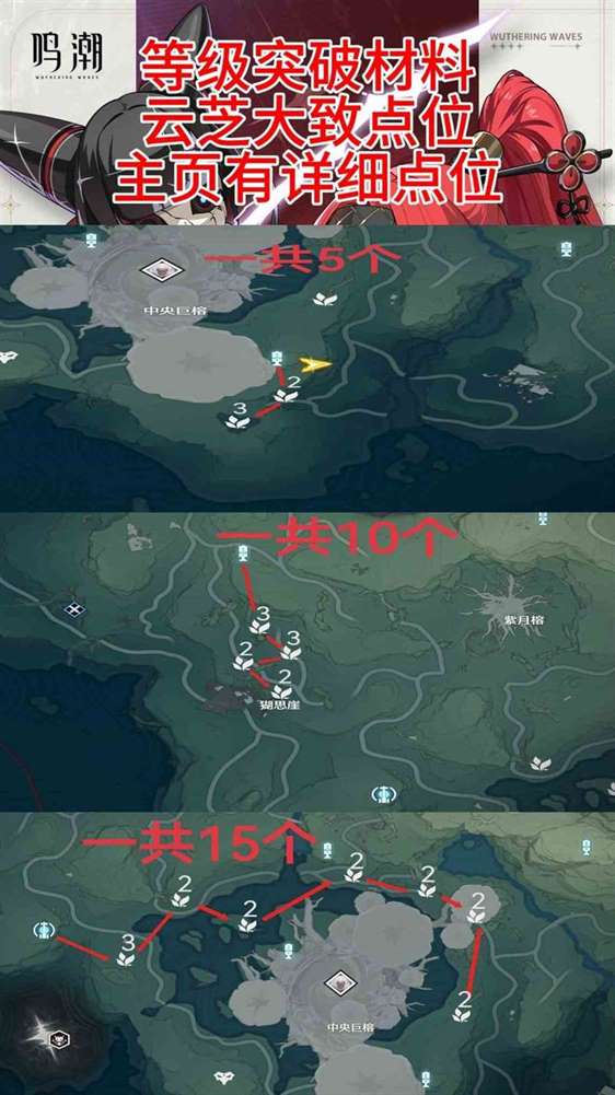《鸣潮》“吟霖”培养指南，云芝采集路线分享