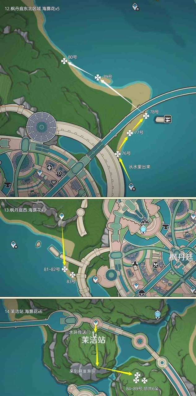 《原神》4.5“海露花”采集路线分享