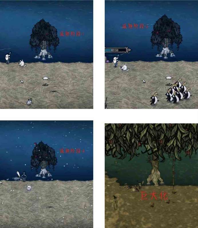 《饥荒》“水中木”种植方法 水中木有什么用