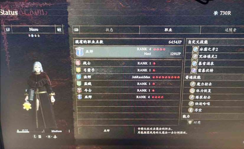 龙之信条2琥珀红龙打法心得-琥珀红龙怎么打