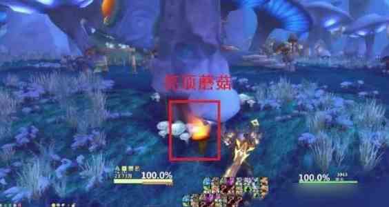 魔兽亮顶蘑菇在哪获得 亮顶蘑菇作用是什么