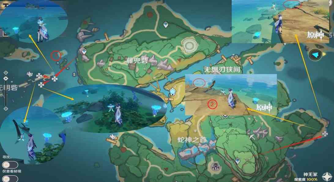 《原神》“海灵芝”采集路线，海灵芝位置一览