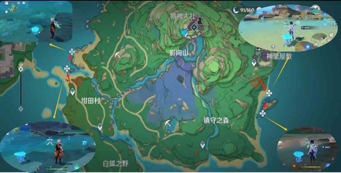 《原神》“海灵芝”采集路线，海灵芝位置一览