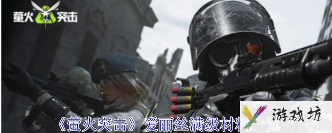 《萤火突击》爱丽丝满级材料一览