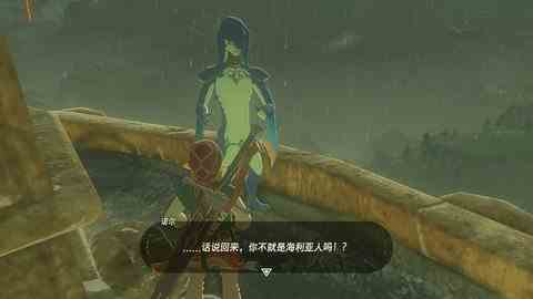 塞尔达水之神兽宝箱攻略，《塞尔达传说》荒野之息水之神兽任务怎么做？