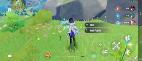 原神塞西莉亚花在哪里买-塞西莉亚花采集地点汇总