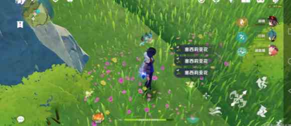 原神塞西莉亚花在哪里买-塞西莉亚花采集地点汇总