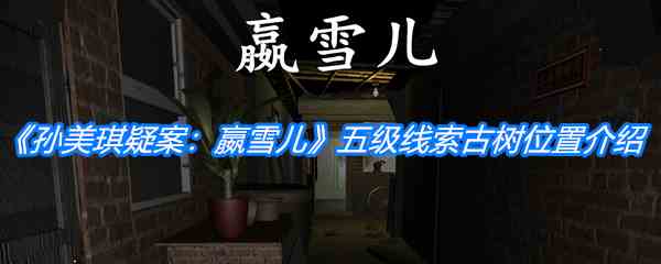 《孙美琪疑案：嬴雪儿》五级线索古树位置介绍
