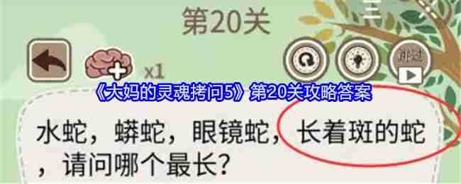 《大妈的灵魂拷问5》第20关攻略答案