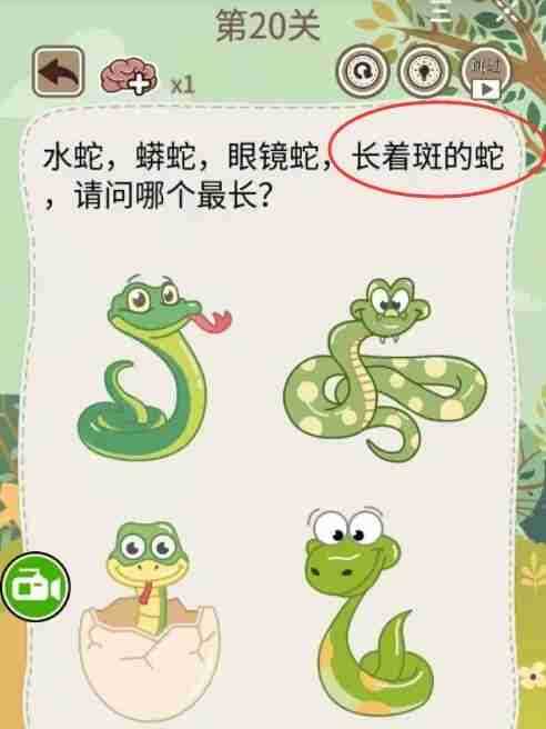 《大妈的灵魂拷问5》第20关攻略答案