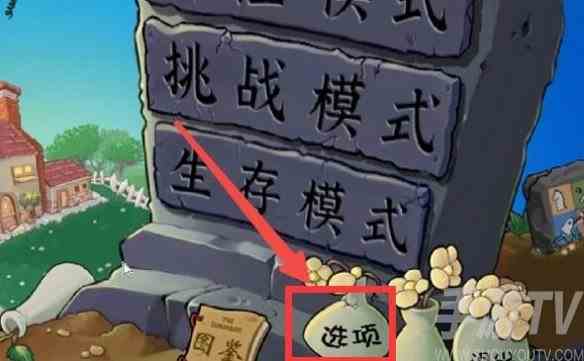 植物大战僵尸杂交版全屏怎么设置 植物大战僵尸杂交版全屏设置方法