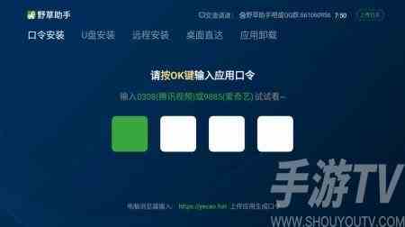 野草助手tv版最新口令有哪些 野草助手tv版口令一览表