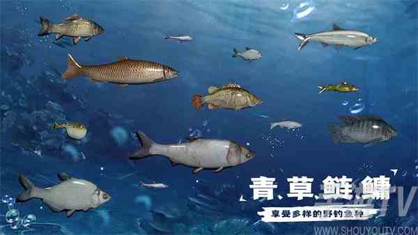 天天钓鱼怎么刷龙玉 天天钓鱼速刷龙玉技巧分享