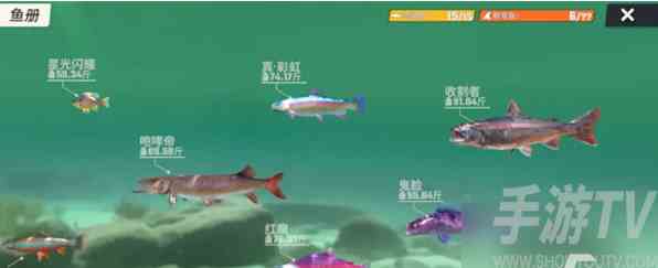 欢乐钓鱼大师全部鱼类图鉴攻略 欢乐钓鱼大师图鉴最后一条鱼长什么样 