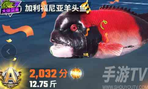 欢乐钓鱼大师全部鱼类图鉴攻略 欢乐钓鱼大师图鉴最后一条鱼长什么样 