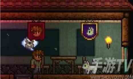 泰拉瑞亚猫咪入住有什么用 猫咪入住作用介绍