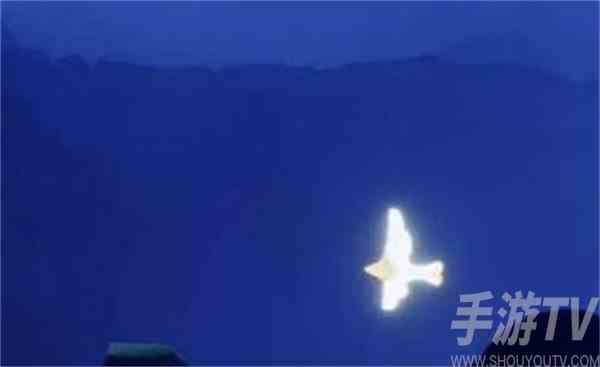 光遇跟随小鸟拍摄六张照片怎么拍 光遇拾光季任务二拍照完成方法
