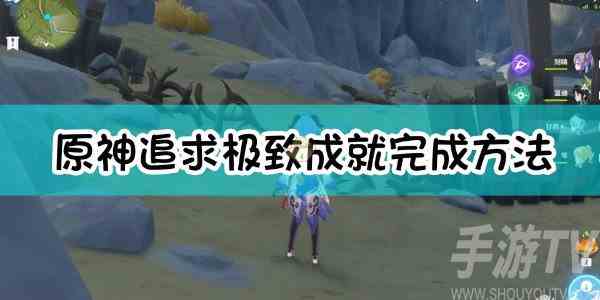 原神隐藏成就追求极致