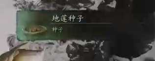 《黑神话悟空》地莲种子获取方法