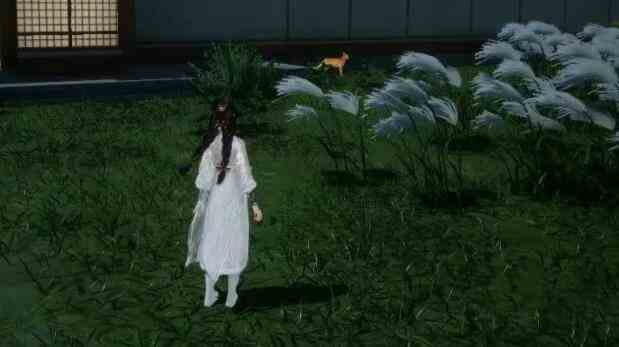 射雕手游无定坊猛兽献宝位置在哪