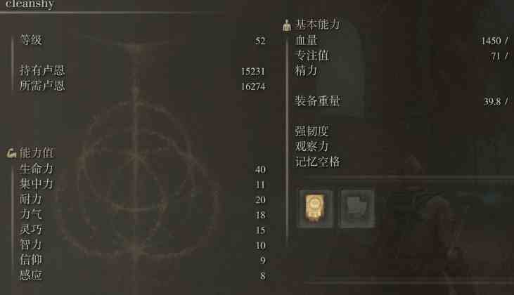 艾尔登法环500级怎么加点 装备怎么加点