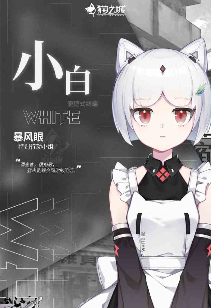 猫之城小白怎么获得