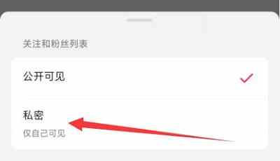 怎么设置不让别人看抖音关注的人