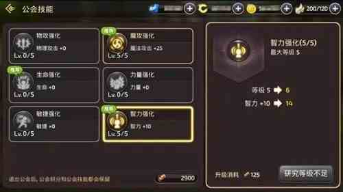 龙之谷炼金圣士怎么加点